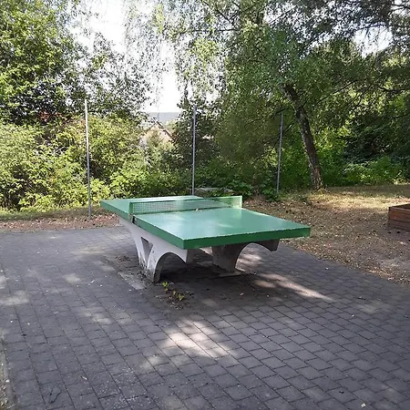 Internationales Jena